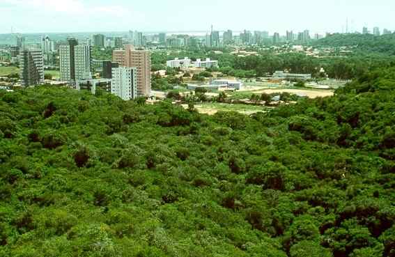 Manifesto sobre o projeto de ampliação da Avenida Engenheiro Roberto Freire