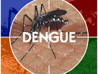 Dengue: até quando?