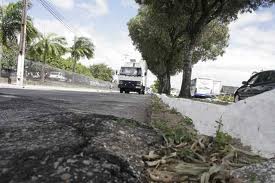 Pensar a cidade por via das calçadas e sob a sombra das árvores